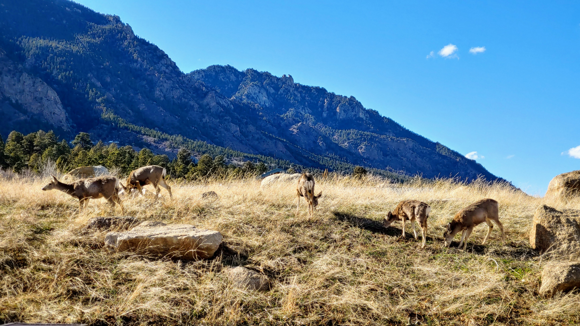 Cheyenne Mountain State Park