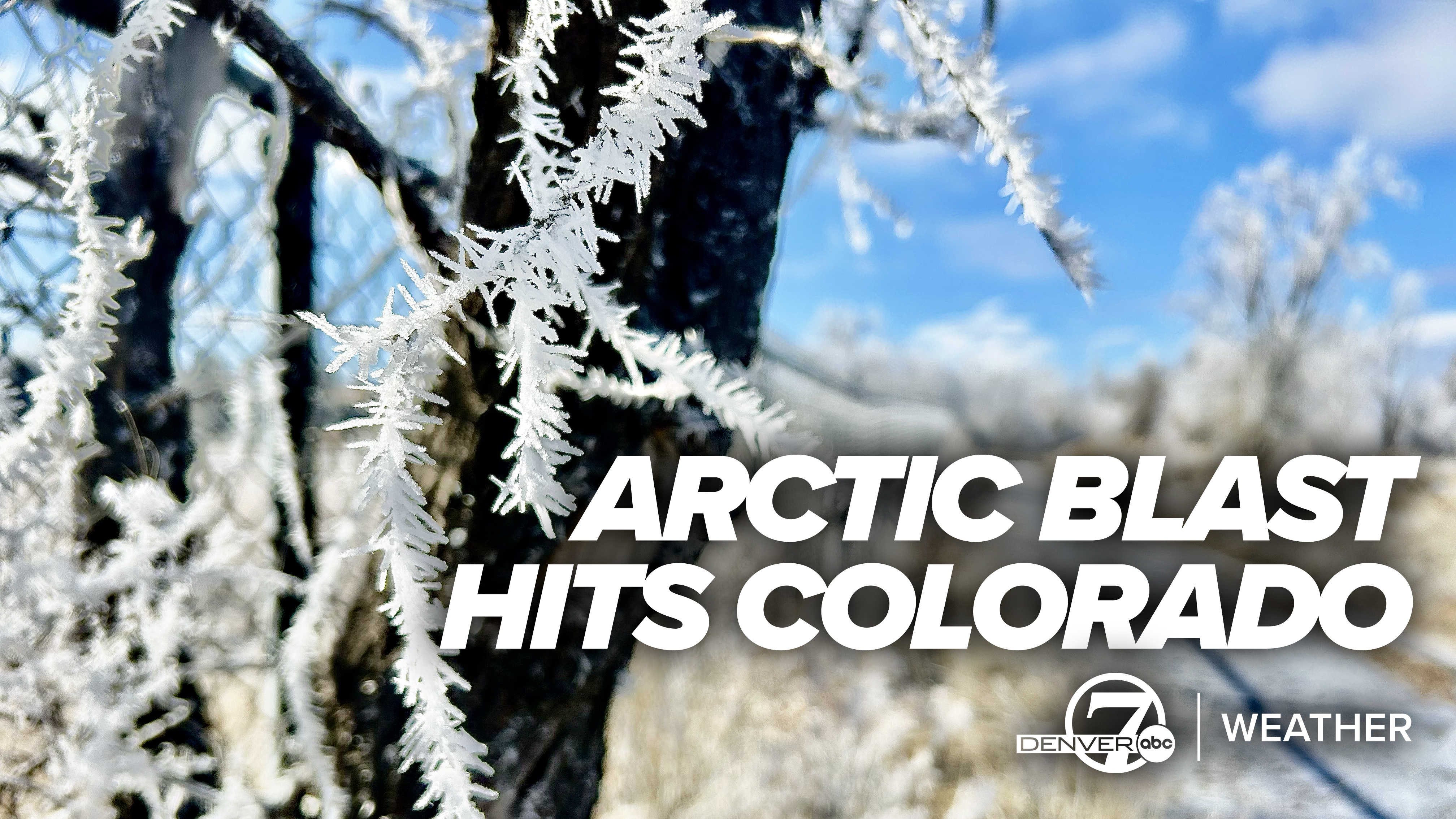 ARCTIC BLAST JAN 2026.jpg