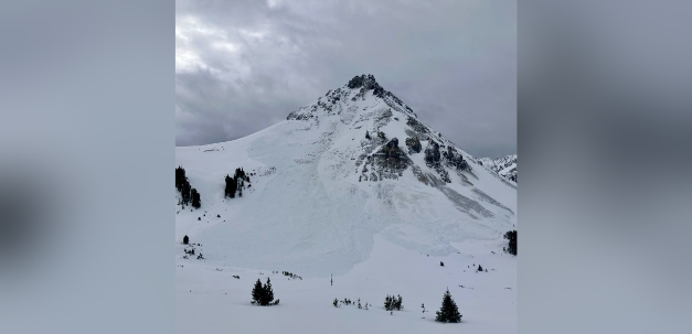 Screen Shot 2025-12-12 at 5.31.49 PM.png