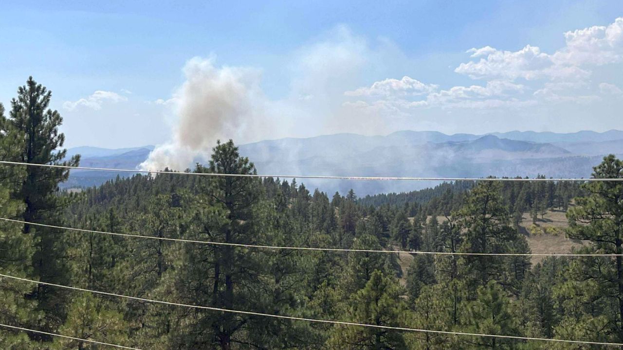 Sawmill Fire