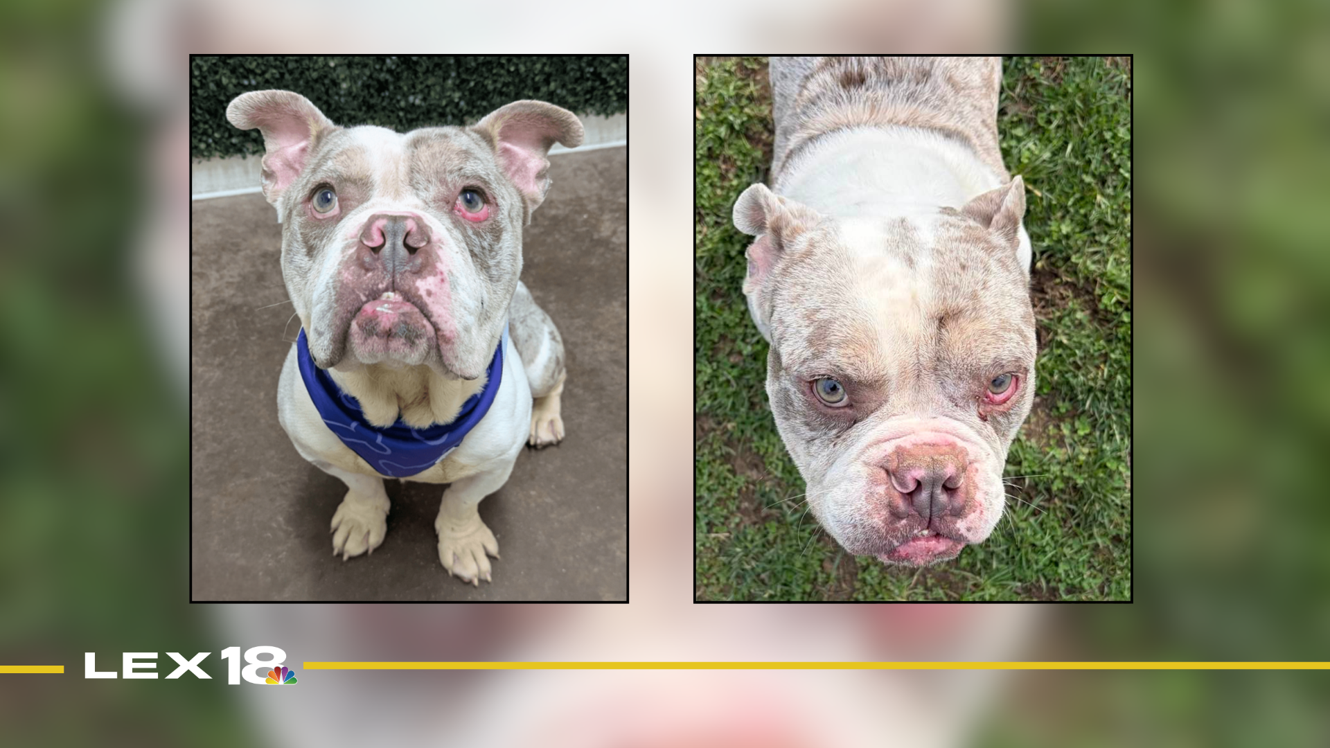 Featured Image Custom Edit (17).png