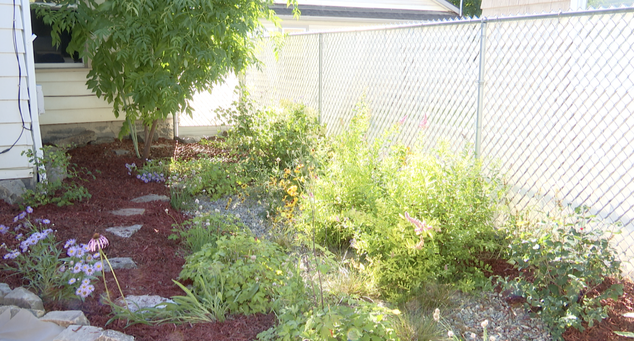 Kalispell Rain Gardens Screen Shot 2022-07-17 at 12.03.35 PM.png
