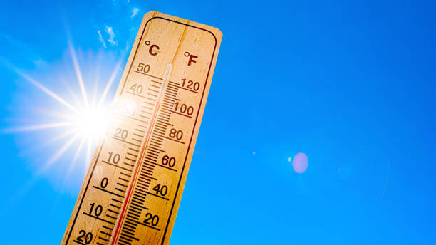 istockphoto-1226639190-612x612.jpg