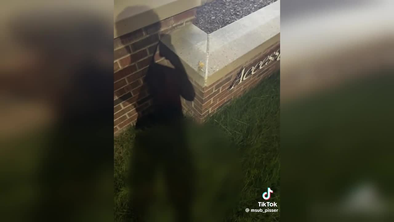 Student Urinating at MSUB 