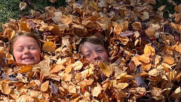 Vivian and Porter French were hospitalized when a tree branch struck them Wednesday morning