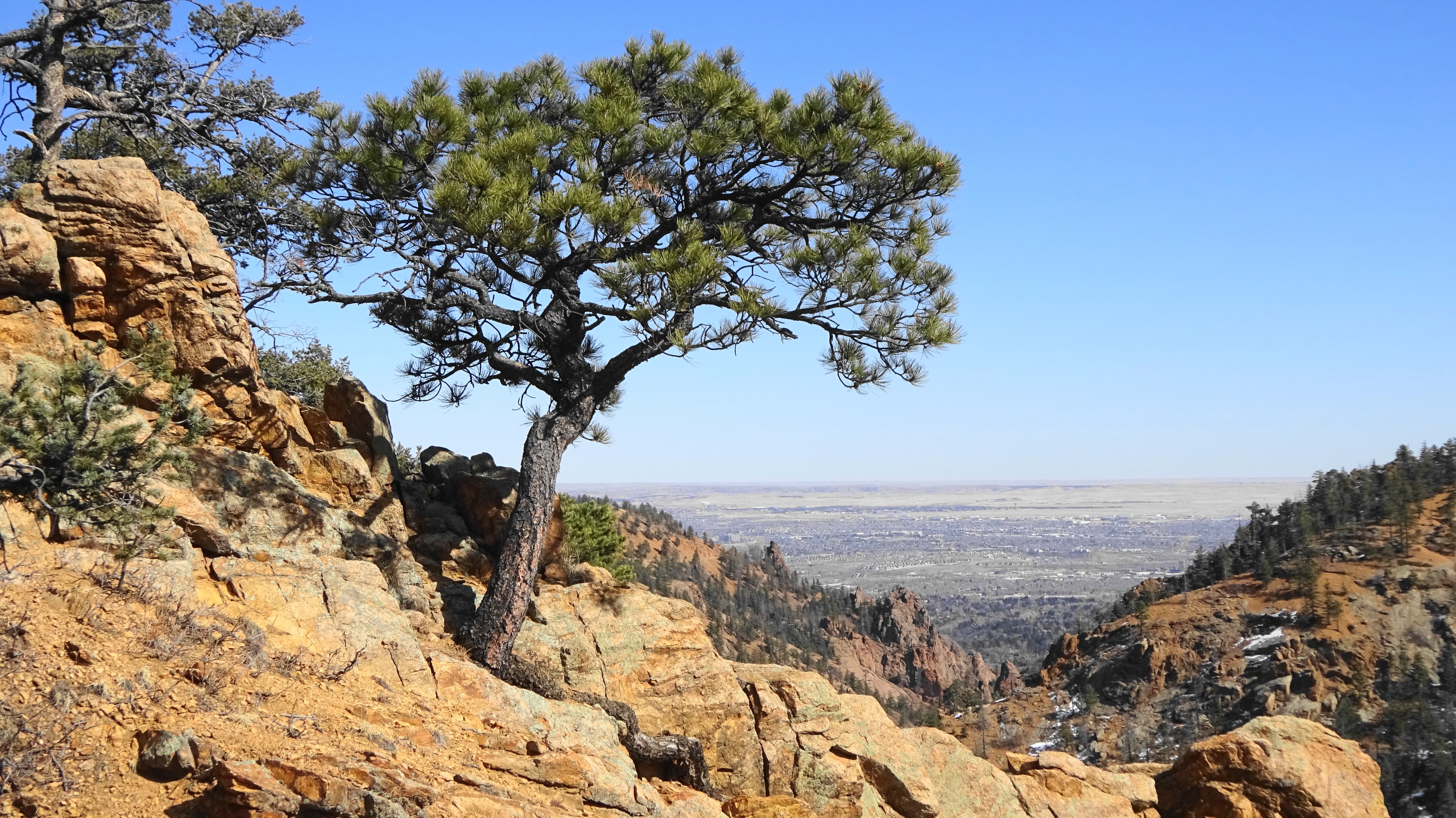 Linda Watkins Colorado Springs Cheyenne Canyon