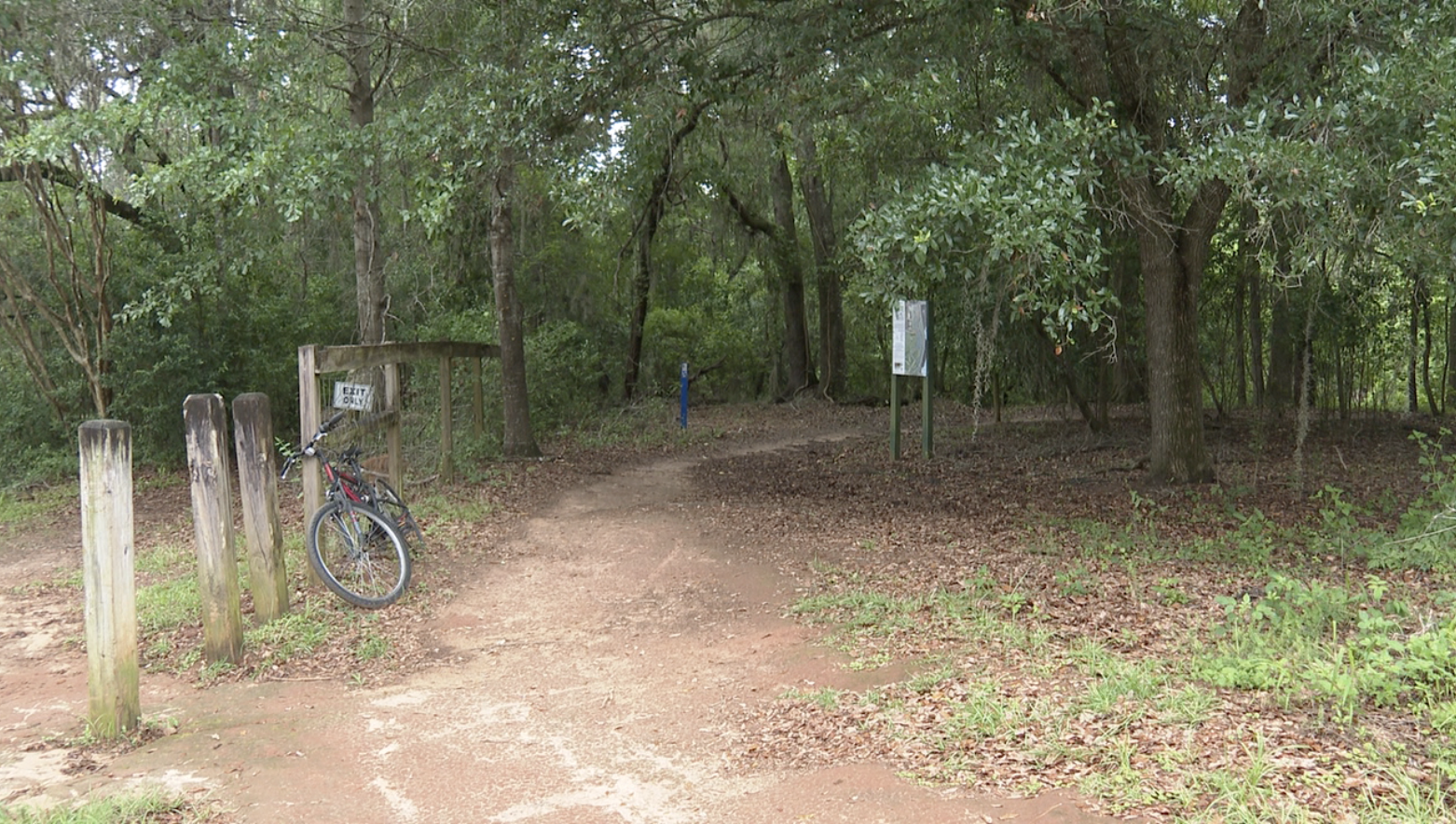 Medical examiner releases findings on human remains found at Tom Brown Park in Tallahassee