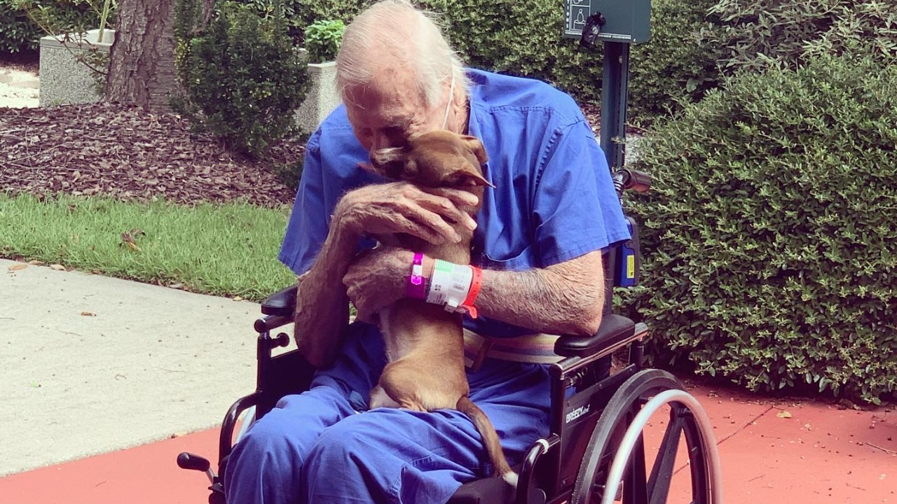 Navy veteran reunites with pet Chihuahua who he says saved his life on houseboat