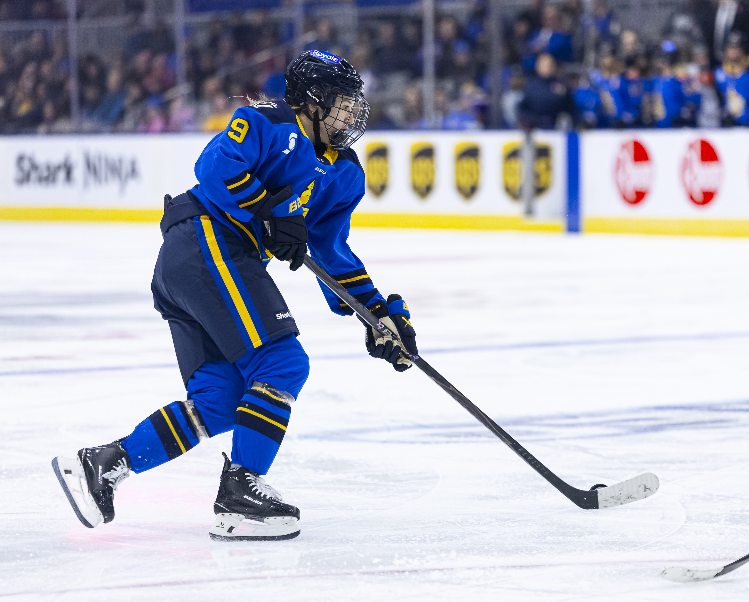 PWHL - Toronto Sceptres vs Ottawa Charge
