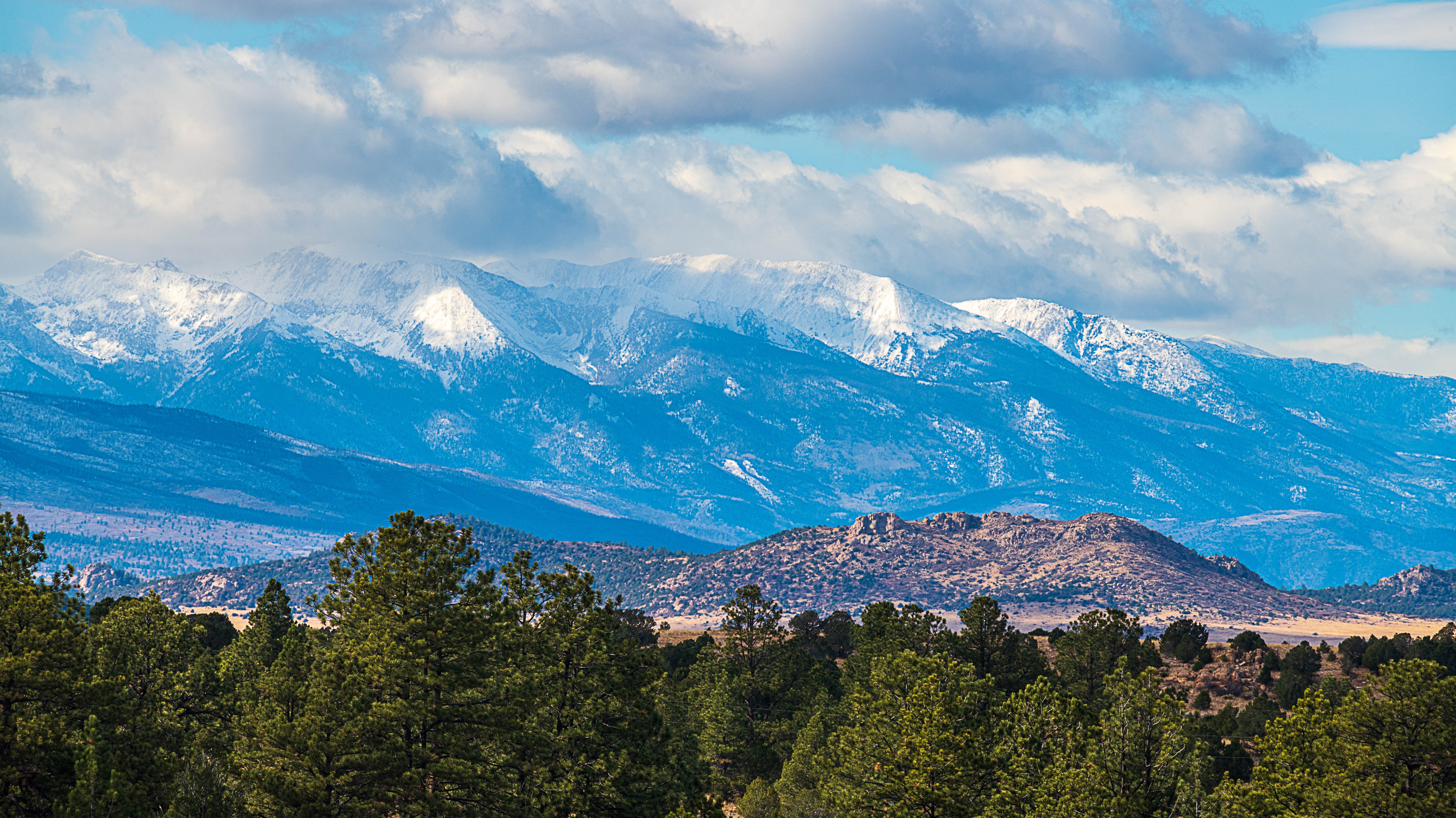 Steve Shugart Westcliffe