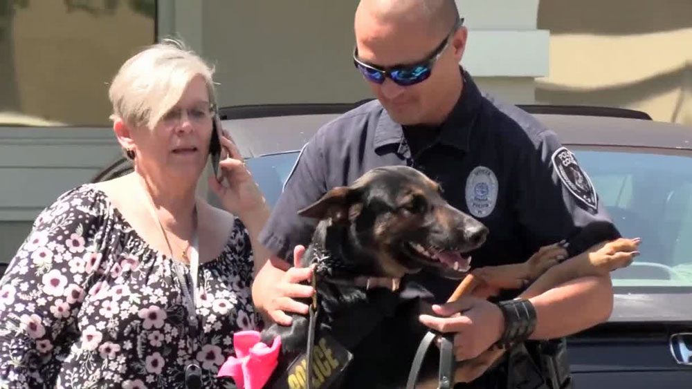 WPTV-K9-LIFESAVER.jpg