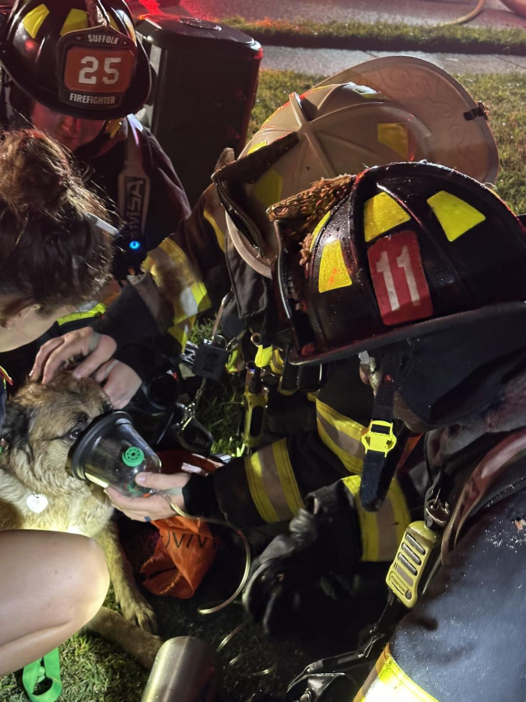 Dog rescued from Suffolk house fire