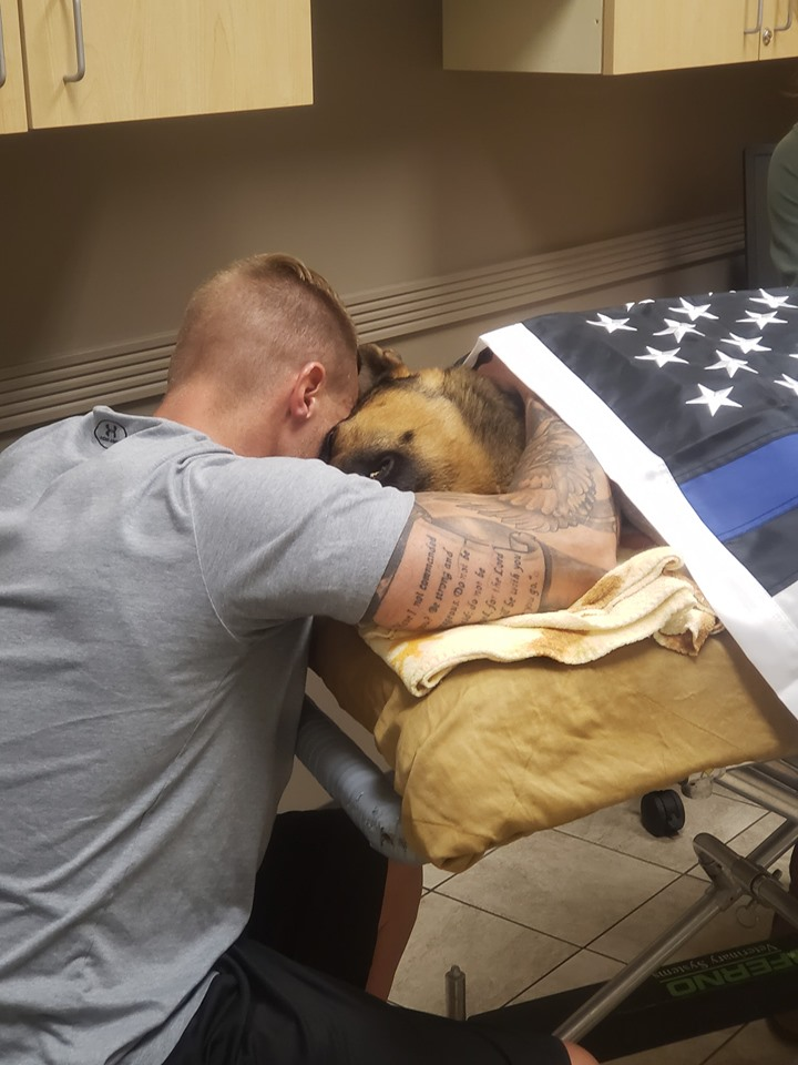Officer Green and K-9 Draco