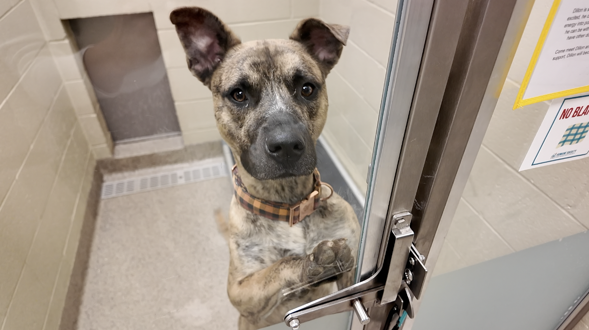 Screen Shot 2025-03-18 at 8.21.29 AM.png