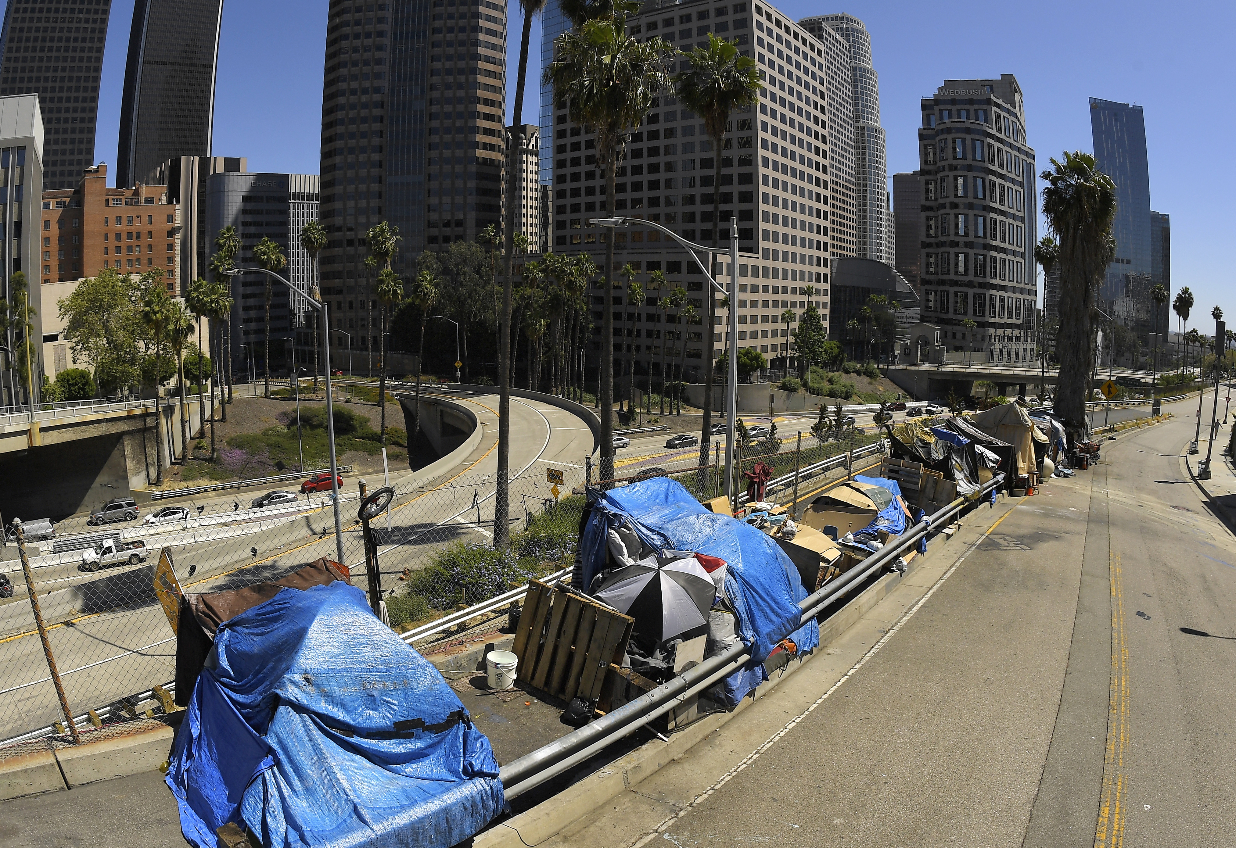 LA Homeless Count