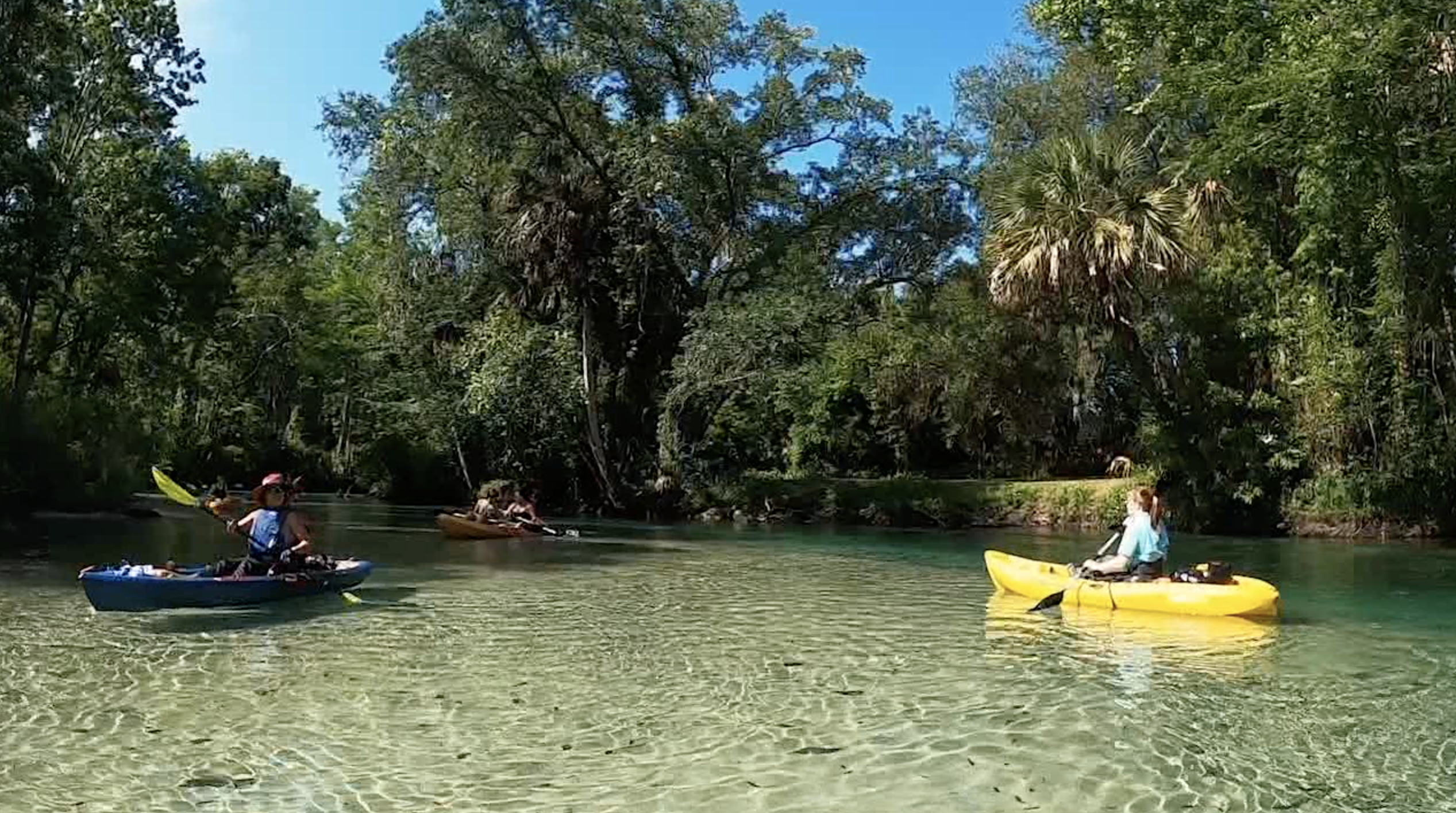 Weeki Wachee River