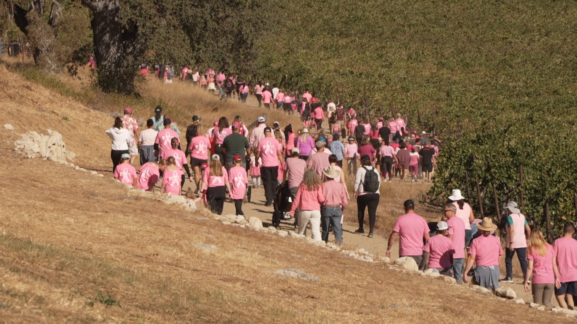 Cancer Support Community SVO.00_00_15_22.Still001.png