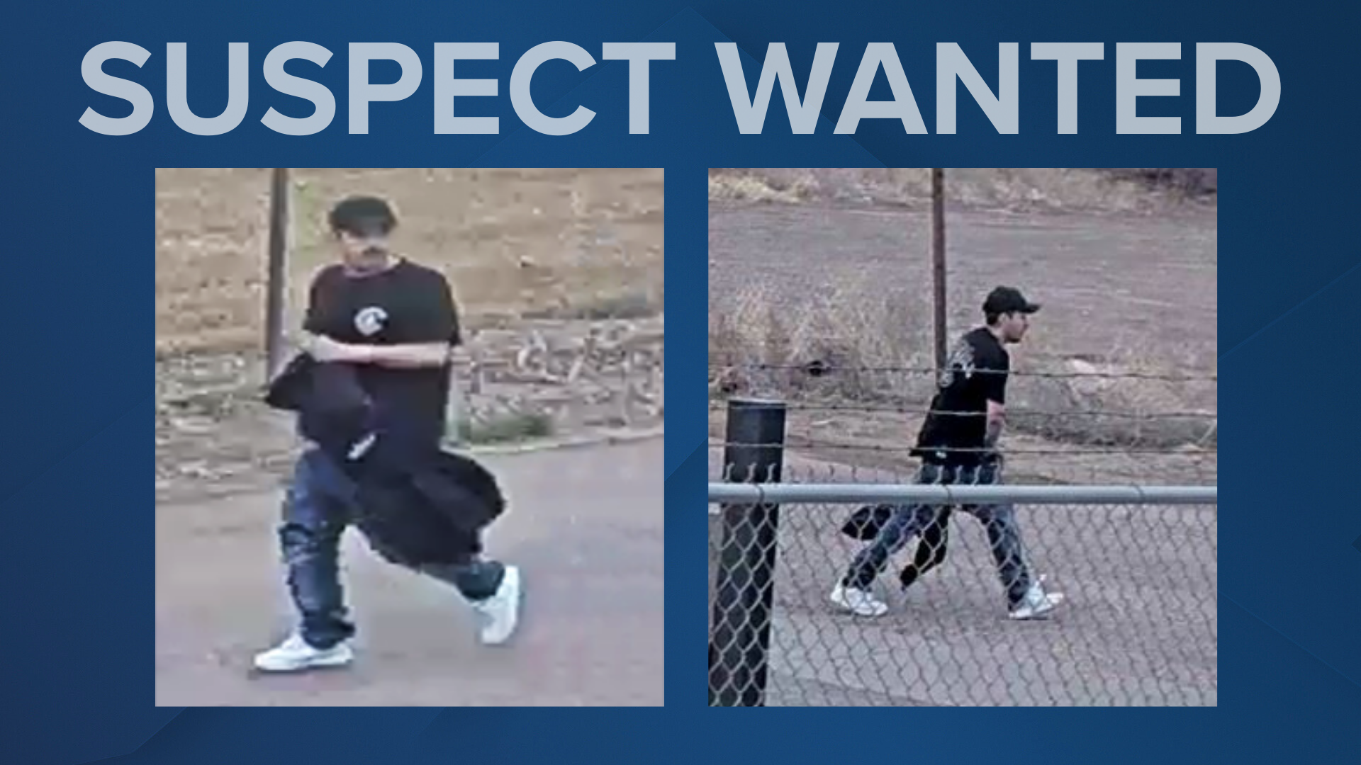 PPD Hit and Run Suspect 