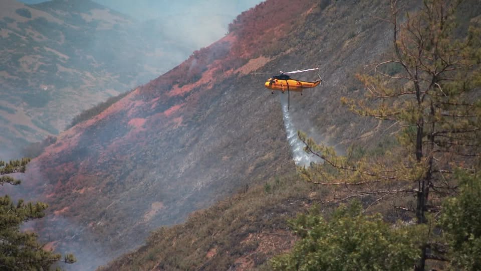 Bonneville Fire
