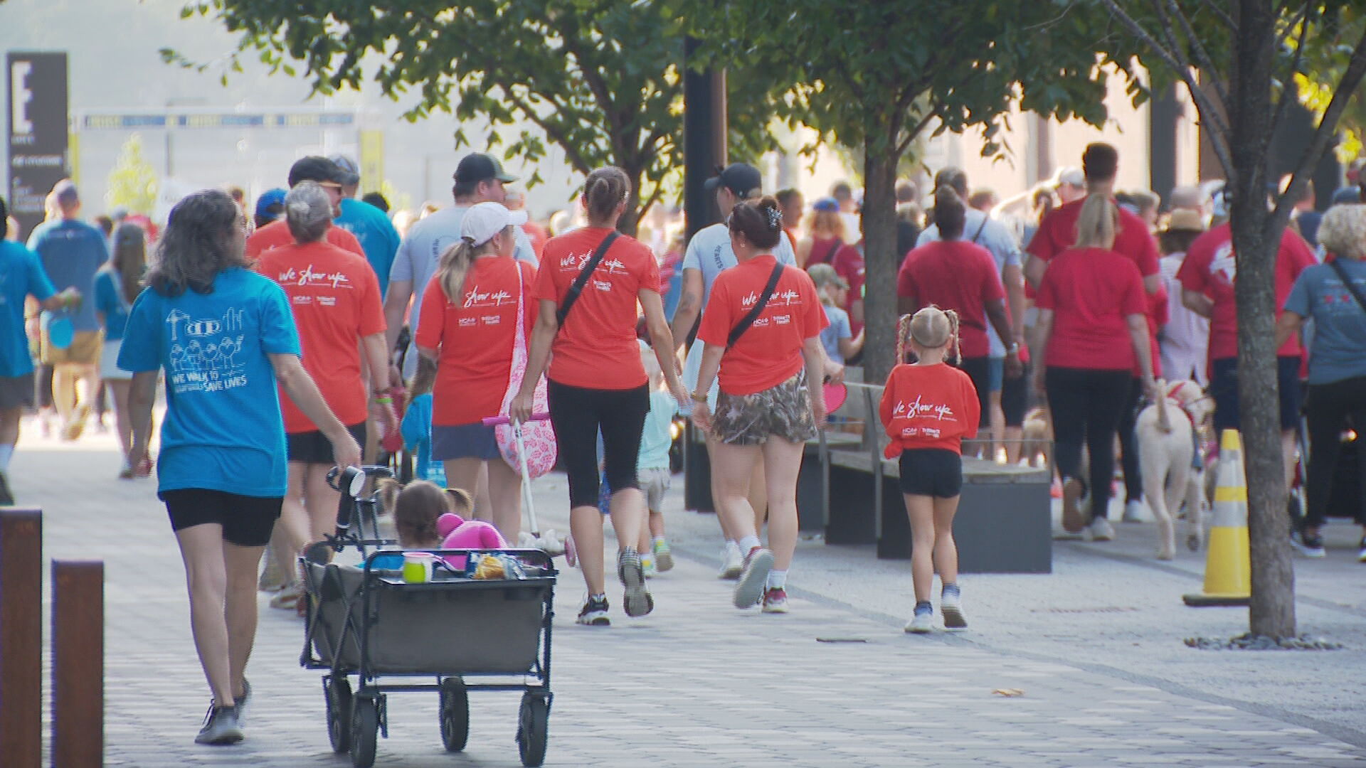Greater Nashville Heart Walk 
