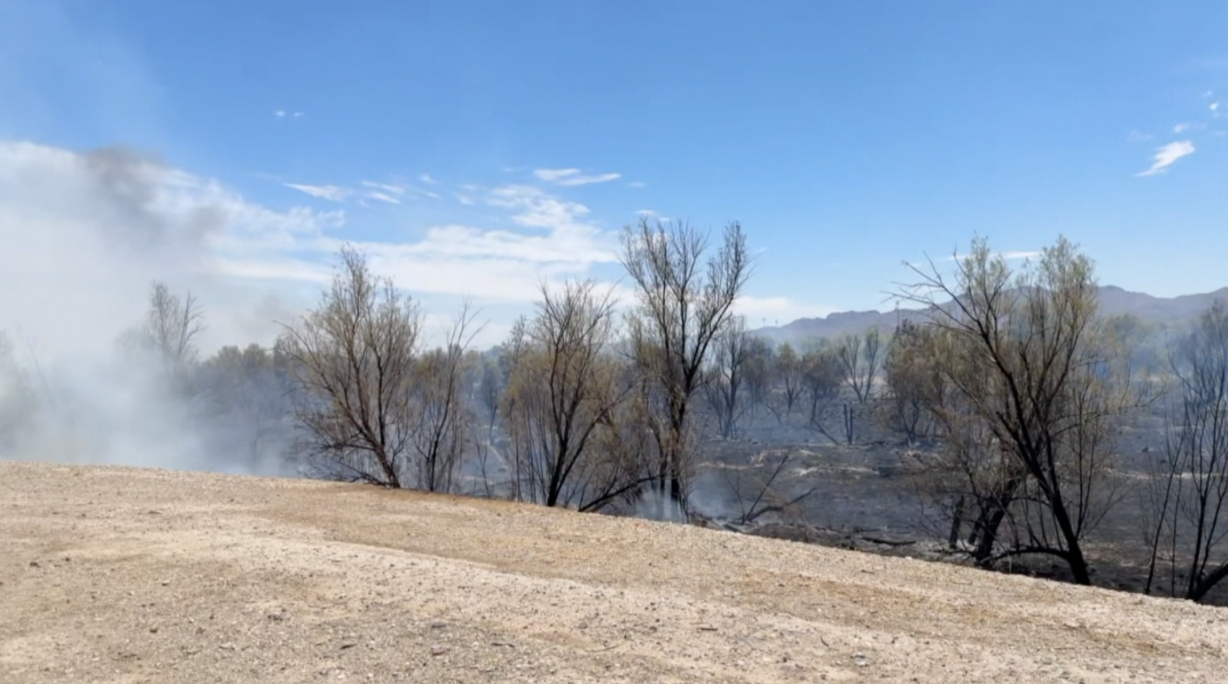 Cortaro Fire 