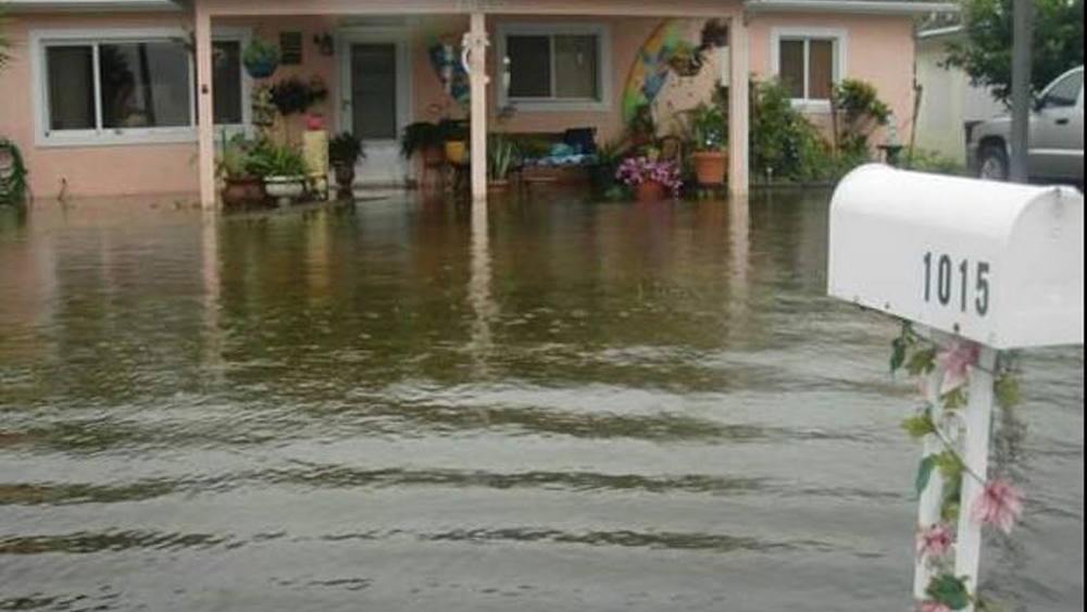 st-pete-flooding.png