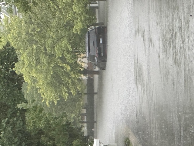 image1 (1).jpeg