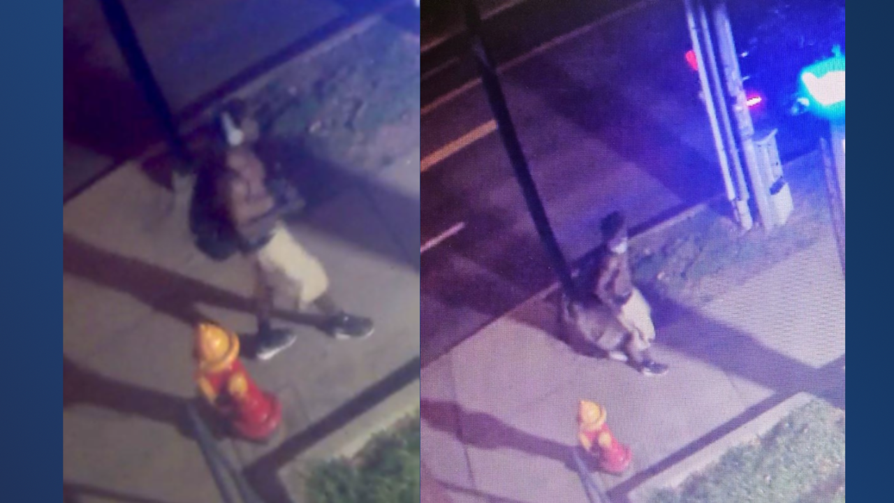 Assault suspect, 24th Avenue S 