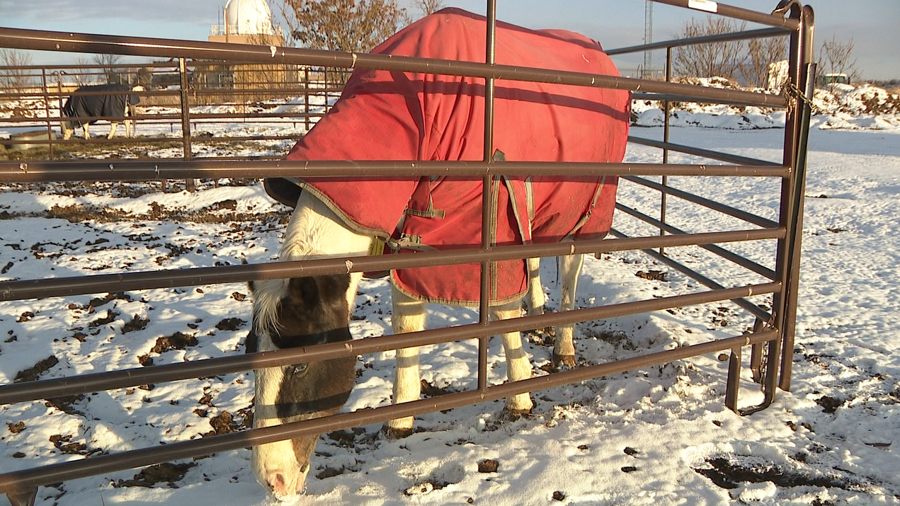 THE URBAN FARM .png