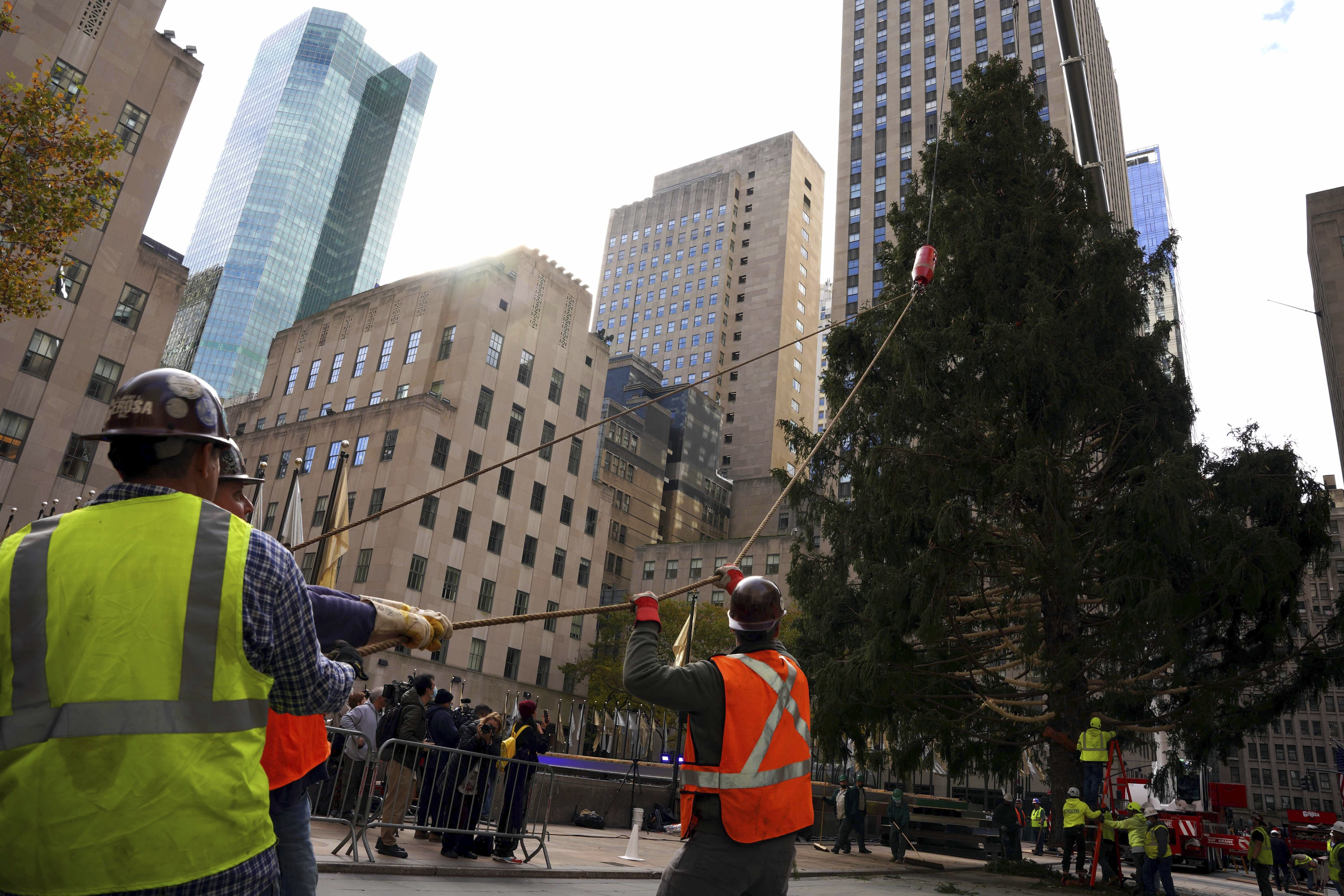 APTOPIX Rockefeller Center Tree