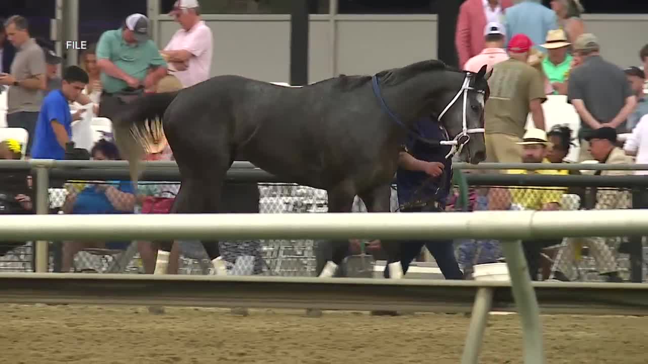 Flyte launches private flights to BWI for Preakness Stakes weekend