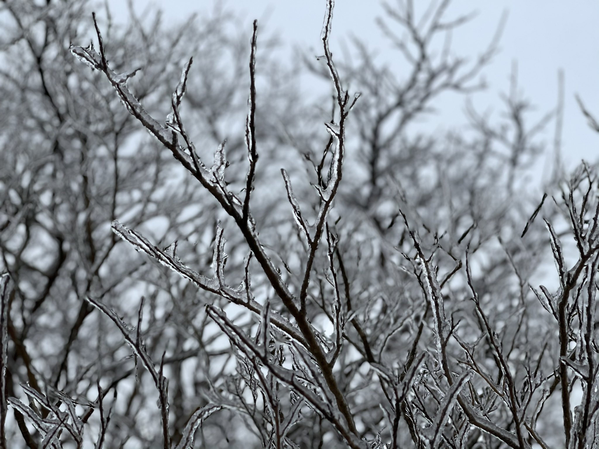 Winter weather