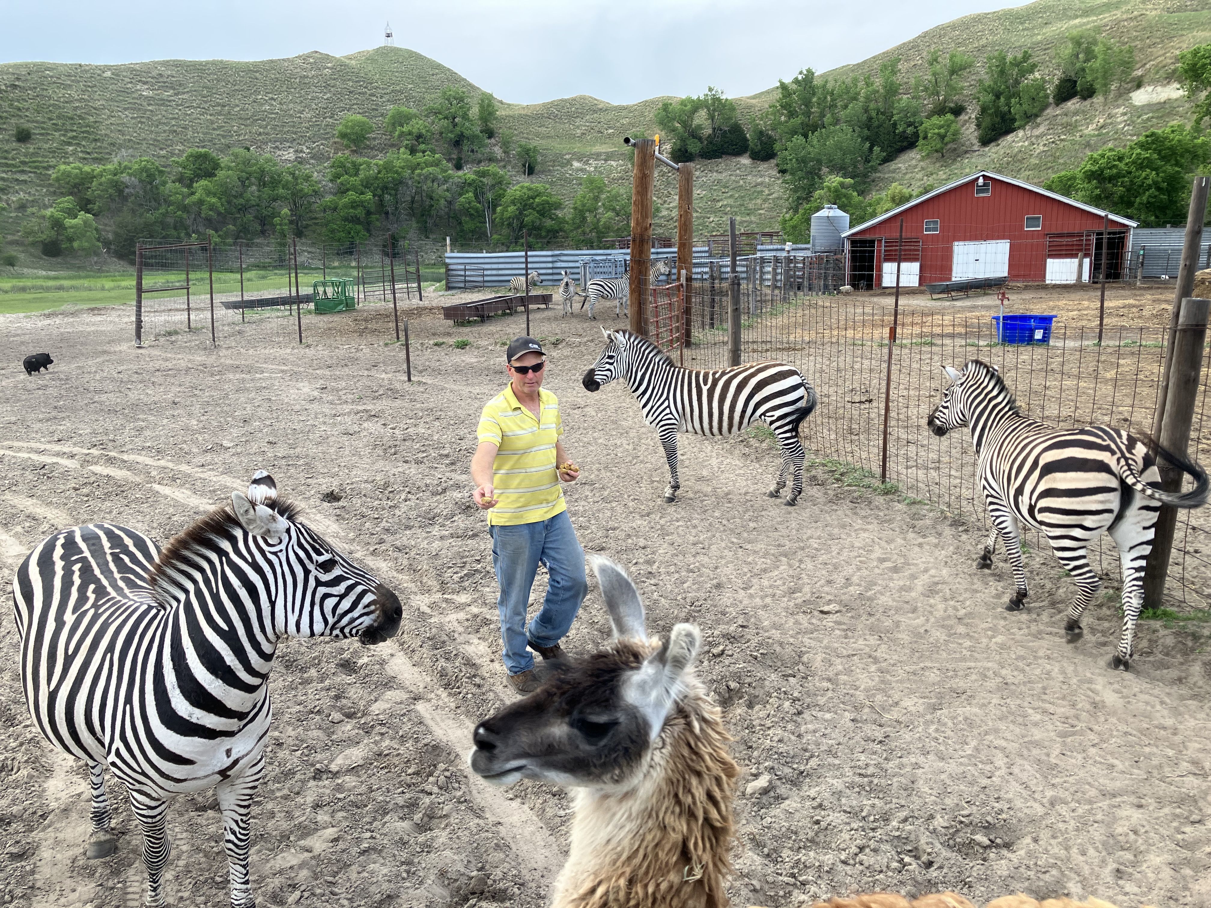 Reindeer Ranch Photo 1.jpg