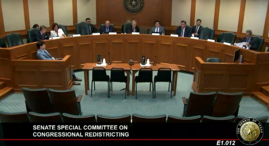 senate special cmte 0806.png