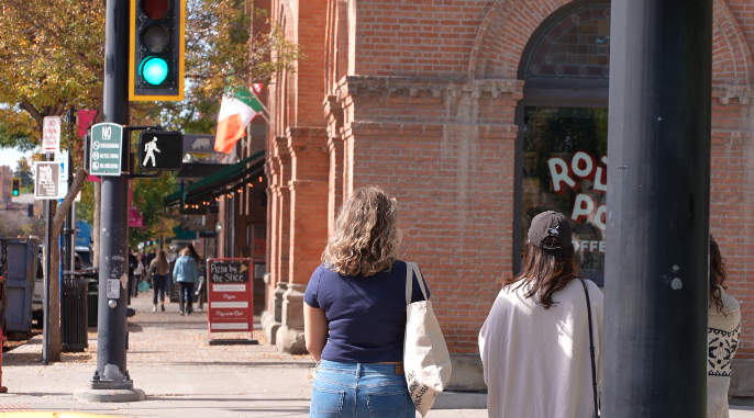Pedestrian Crossing 3