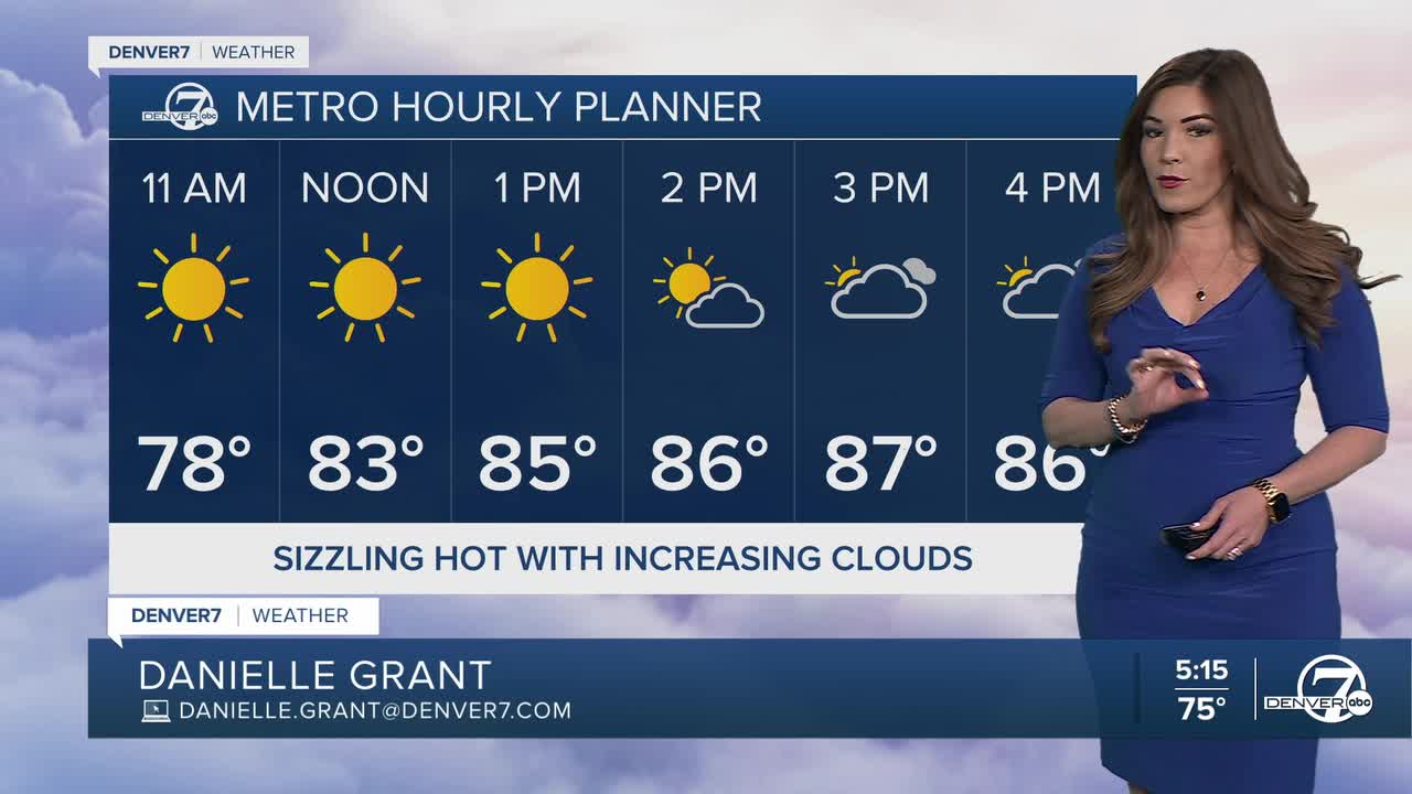 Denver's Hourly Planner for Wednesday