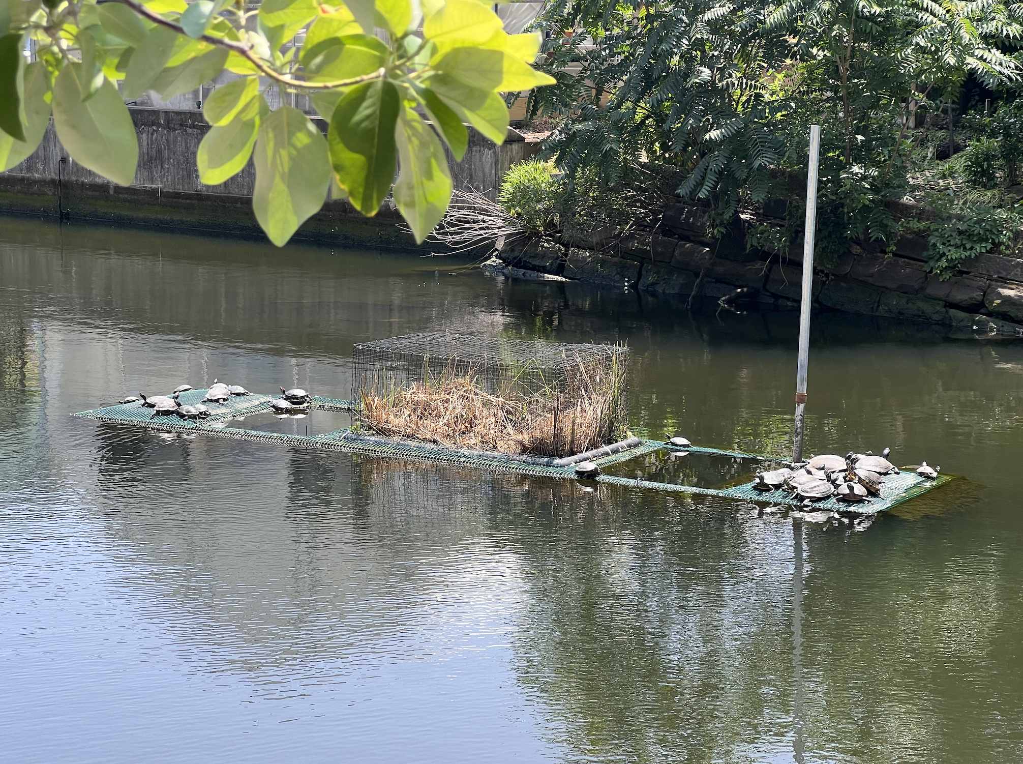 Screenshot 2025-06-09 at 5.11.15 PM.png