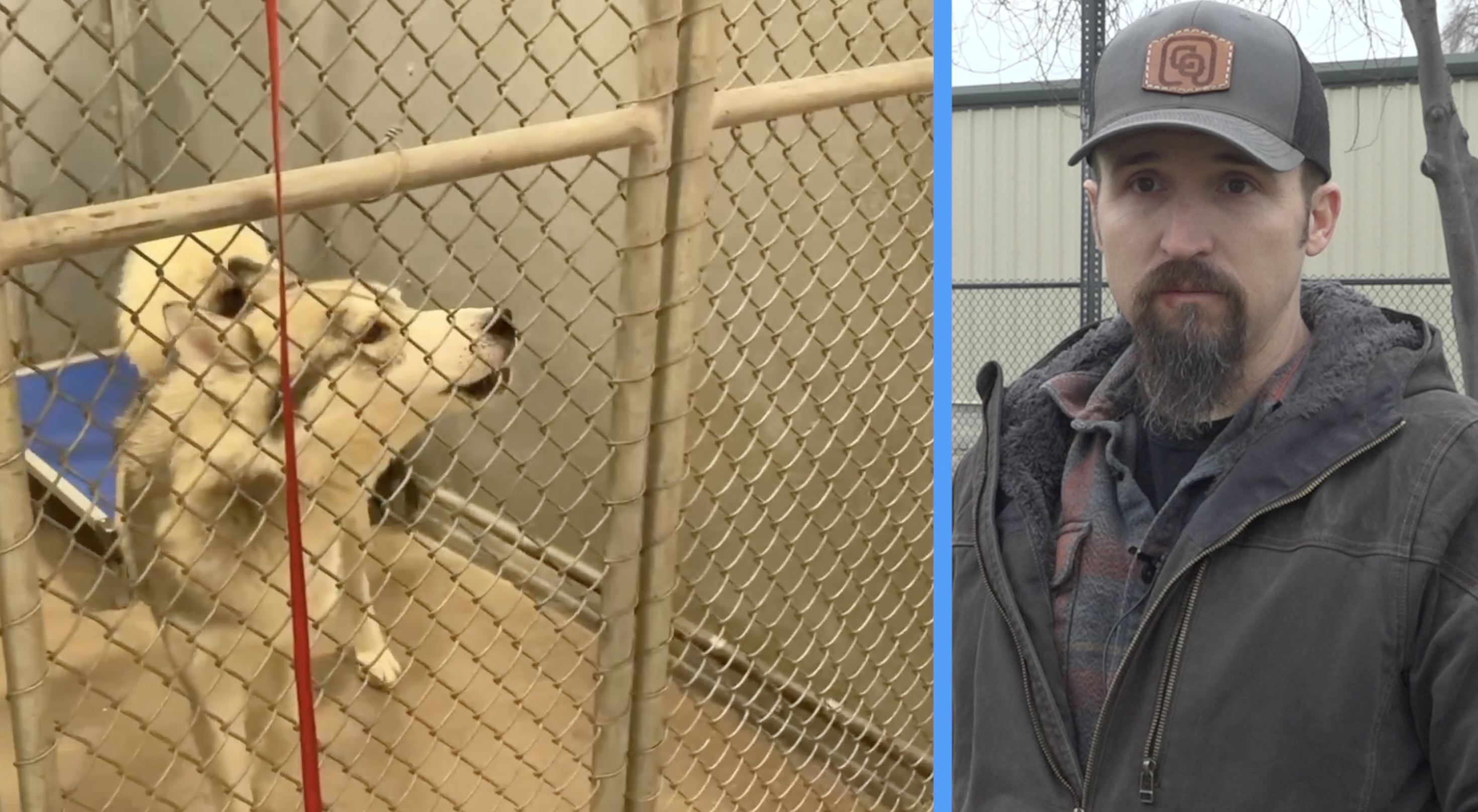 Screenshot 2026-01-30 at 6.00.36 PM.jpeg