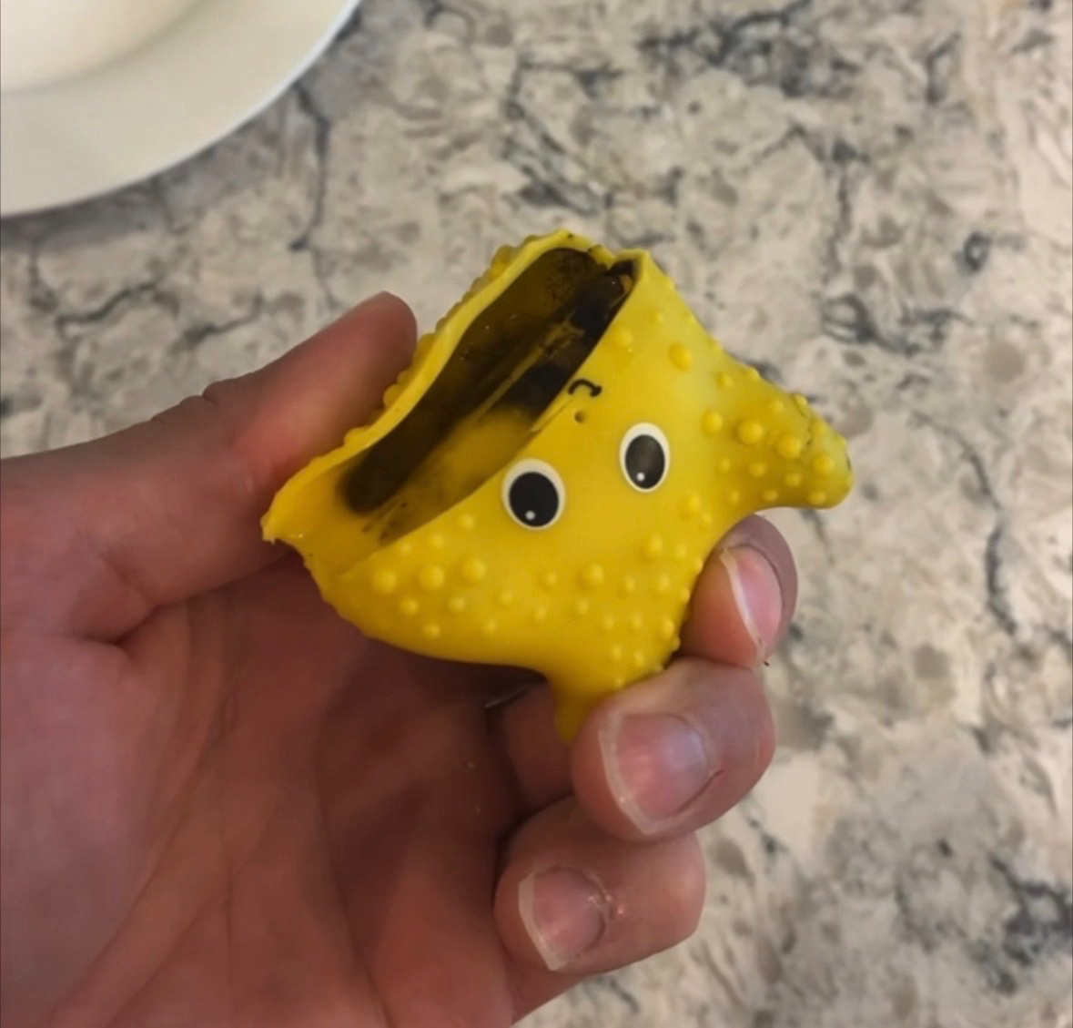 moldy bath toy