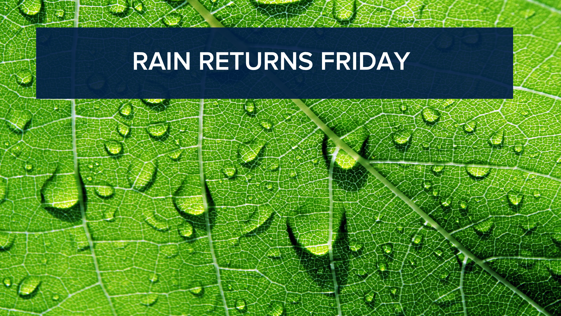 Rain returns Friday