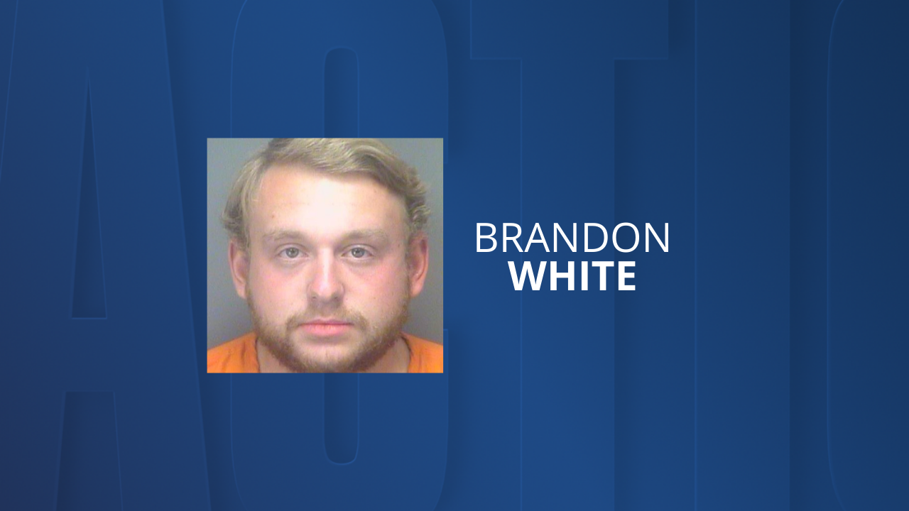 Brandon White mugshot Pinellas County Sheriff's Office.png