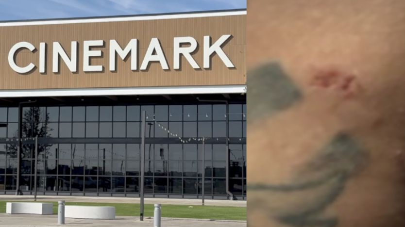 Cinemark mice concerns