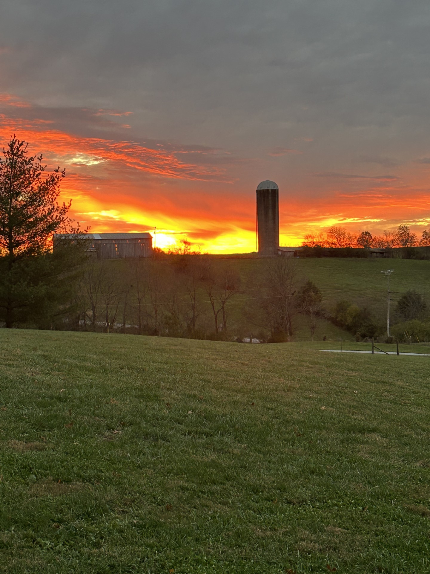 Mug Shot of the Week: Brenda Toy