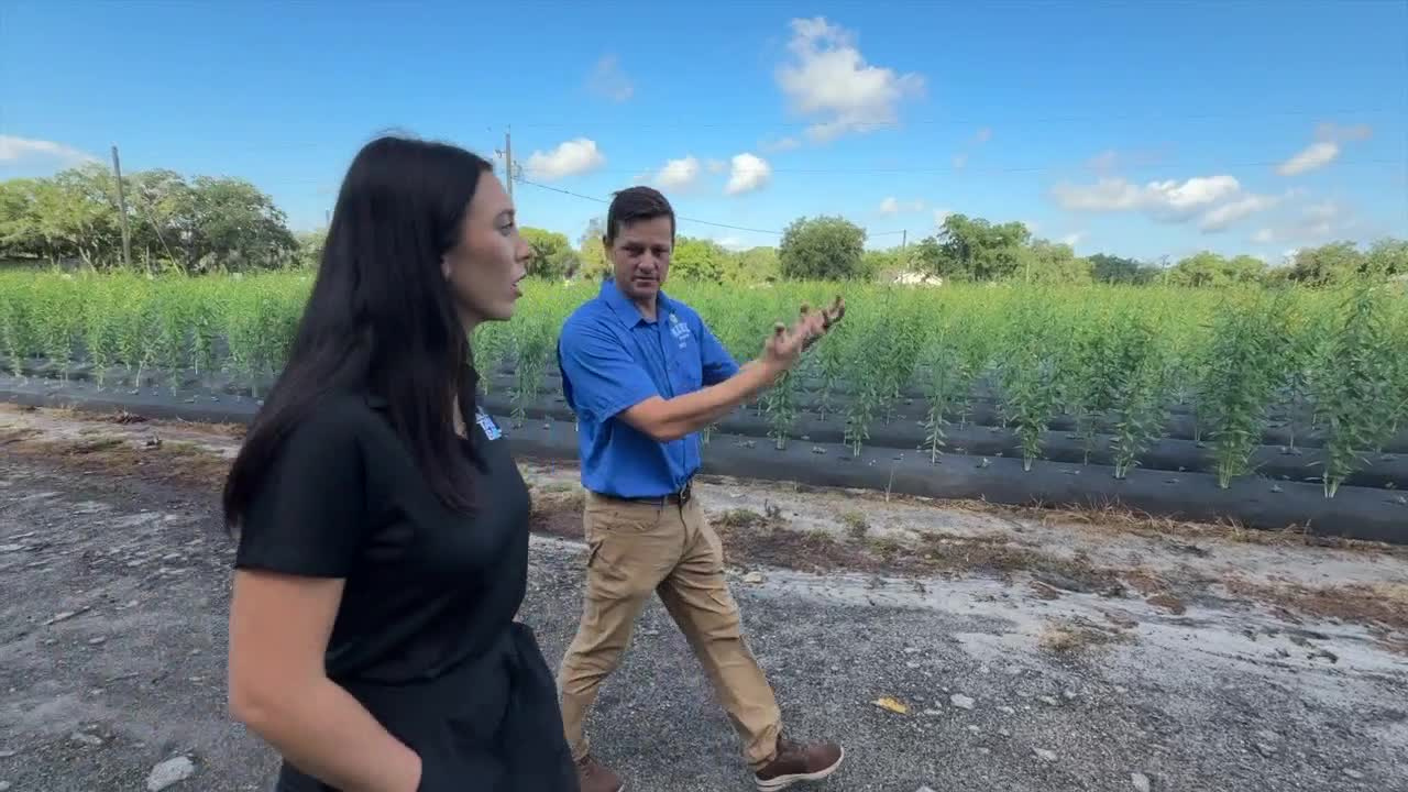 farmers hurricane.png