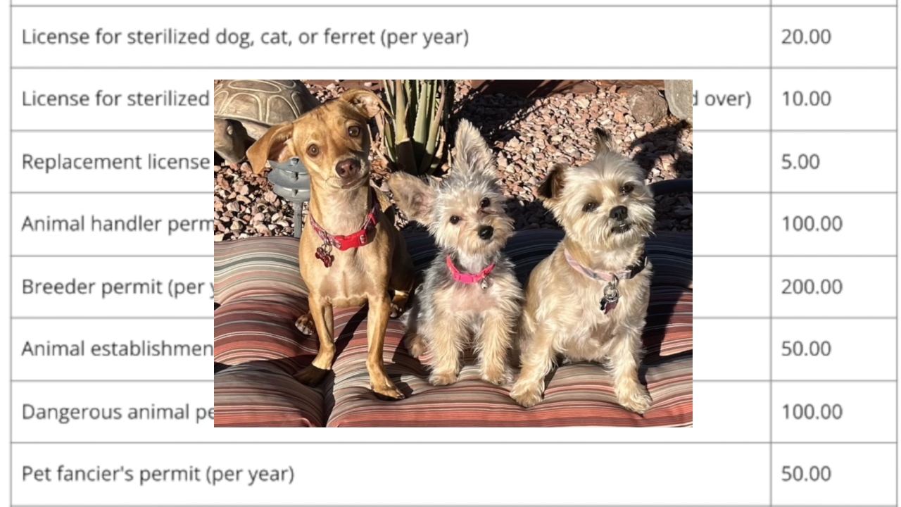 Henderson pet license fees