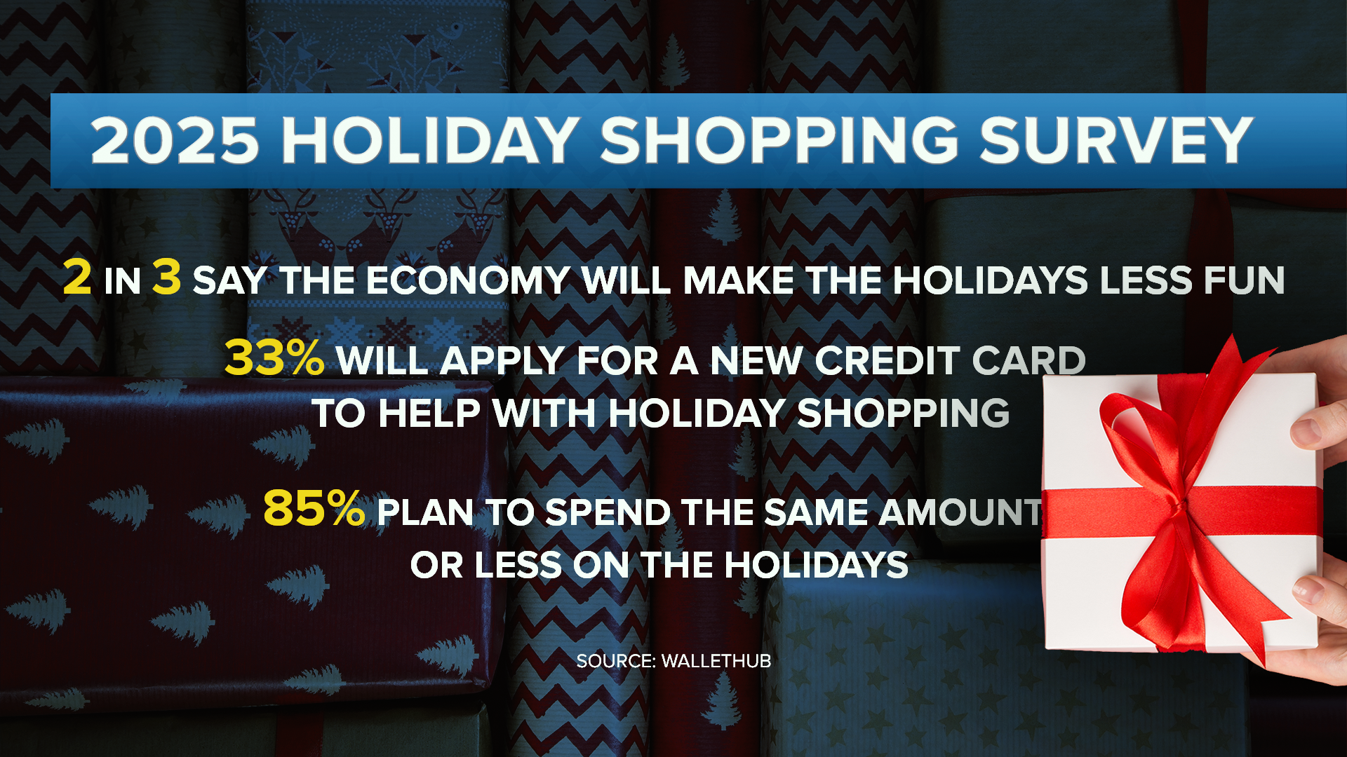 2025 holiday shopping survey thumbnail.png
