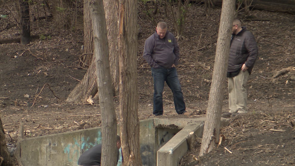 Blue Springs downtown revitalization gains progress with updates to Central Park