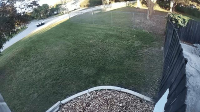 An unexpected visitor crashed a sports car into a Miami-Dade County home on Dec. 24, 2025. Ring camera video showed a Corvette driver speeding through a Palmetto Bay neighborhood, plowing through a homeowner's front yard.