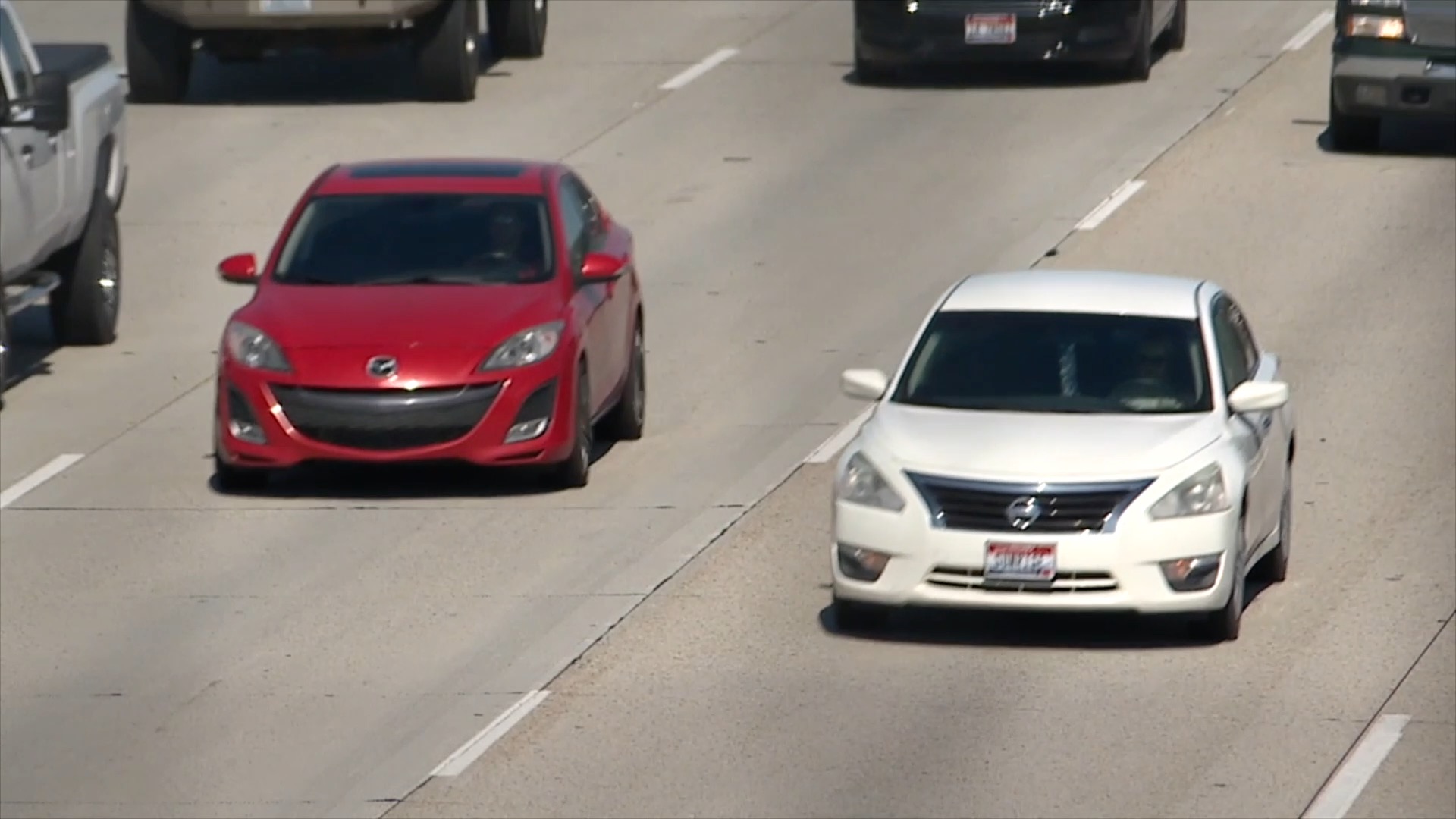 License plate sticker 