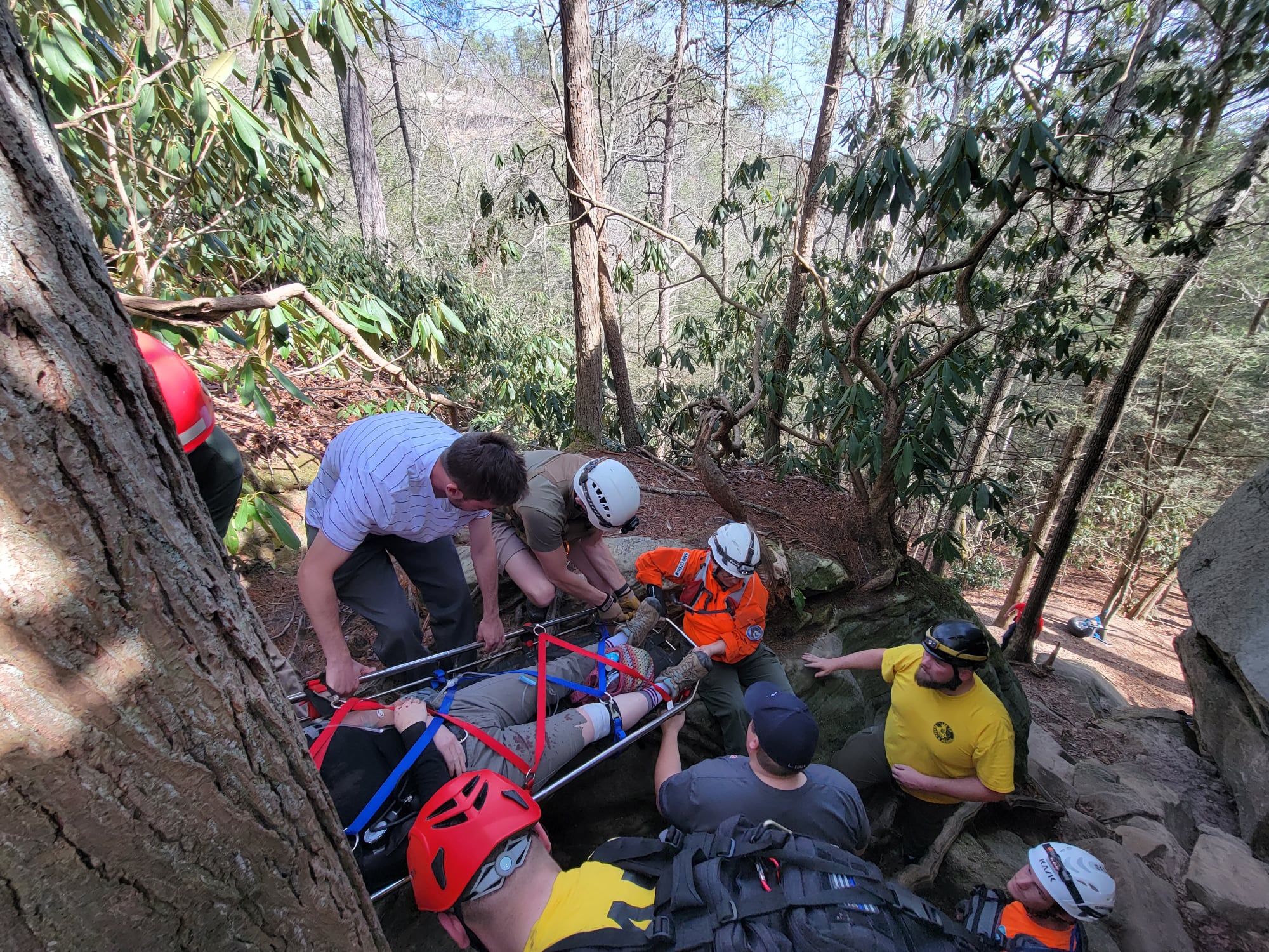 POWELL CO RESCUE.jpg
